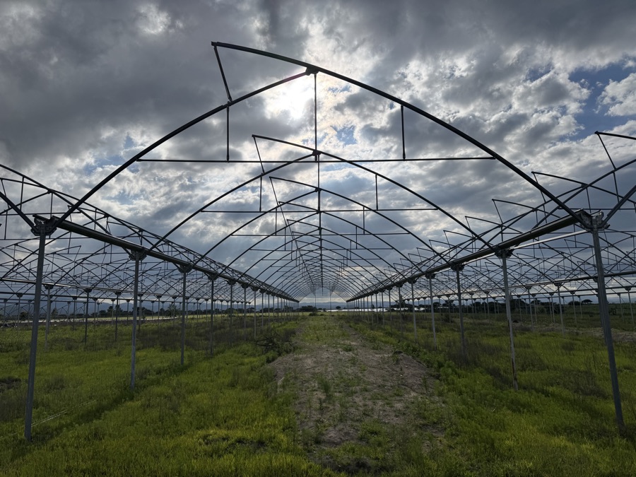 Estructura metálica para invernadero agroindustrial fabricada por GITV